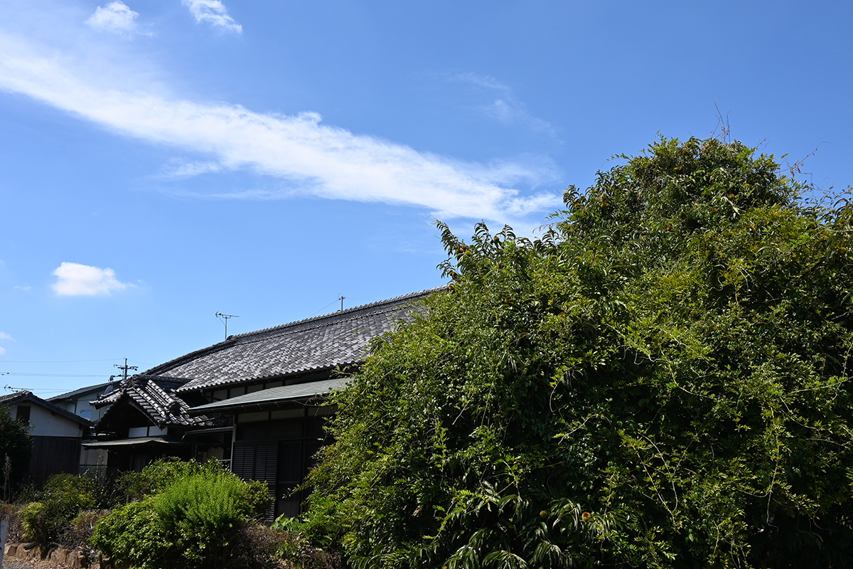 3. 御殿場市にお住まいのT様が、「生前対策として自宅の売却益を贈与してお孫様の教育資金に充てられた事例」